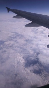 IMAG1517
