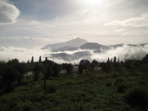 IMG_3478